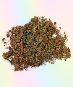 BUY JACKPOT SHAKE ONLINE UK (HYBRID)