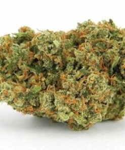 Buy Jack Herer Strain Online UK
