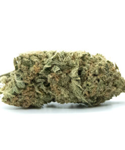 Buy Super Silver Haze Strain Online UK