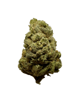 Blue Cheese